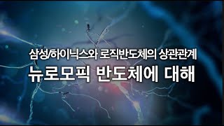 우리에게 역전의 기회가 생기는 지점, 뉴로모픽 반도체에 대해 (삼성/하이닉스와 로직반도체의 상관관계)