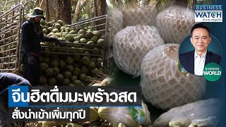 จีนฮิตดื่มมะพร้าวสดสั่งนำเข้าเพิ่มทุกปี #BUSINESSWORLD | BUSINESS WATCH | 30-09-65