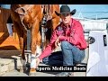 Horse Boot Protection with Patrick Smith