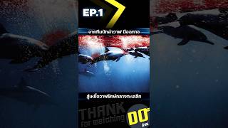 EP.1 จากทีมนักล่าวาฬมือฉกาจ สู่เหยื่อวาฬยักษ์กลางทะเลลึก