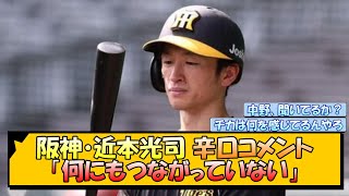 阪神・近本光司 辛口コメント「何にもつながっていない」【なんJ/2ch/5ch/ネット 反応 まとめ/阪神タイガース/岡田監督/中野拓夢/木浪聖也】