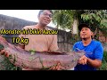 Memancing Keli Afrika Bersama Azim #gengdunia