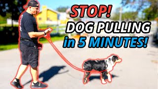 STOP LEASH PULLING IN 5 MINUTES! PRO DOG TRAINING TIPS!