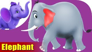 Elephant Rhymes, Elephant Animal Rhymes Videos for children