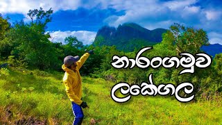 නාරංගමුවේ ලකේගල උඩට | Narangamuwa Lakegala