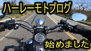 ハーレー　モトブログ　Motovlog FXSTSB エボ　スプリンガー