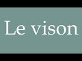 how to pronounce le vison mink correctly in french