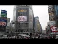 渋谷5面シンクロ動画