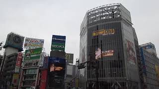 渋谷5面シンクロ動画