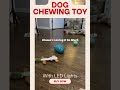 cheerble intelligent interactive dog toy ball with led lights shorts doglover pettoys