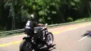 Sportster Chop Ride, Leo Speed Shop