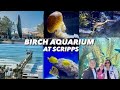 [4K] A Visit to Birch Aquarium at Scripps Institution of Oceanography | La Jolla, California