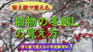 《替え歌で覚える》植物の冬越しの覚え方