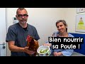 Bien nourrir sa poule ! 🐔