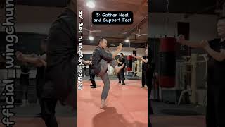 Exploring Wing Chun: Embark on a Guided Practice Set Journey with Master Tu Tengyao