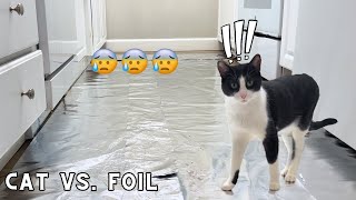are cats scared of aluminum foil??