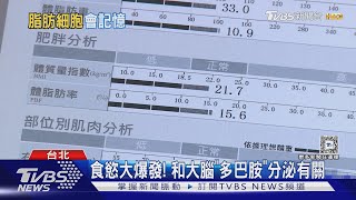 「瘦了又胖」難維持! 恐因脂肪細胞「有記憶」 ｜十點不一樣20241210@TVBSNEWS01