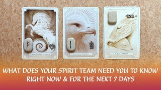 😇⌛WHAT DOES SPIRIT NEED YOU TO KNOW RIGHT NOW \u0026 IN THE NEXT 7 DAYS⌛😇⌛Weekly Pick-A-Card Guidance⌛🌗🙏😇