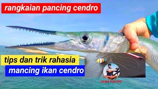 CARA MEMBUAT RANGKAIAN PELAMPUNG MANCING CENDRO || TIPS DAN TRIK MANCING CENDRO