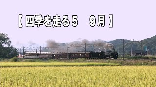 【四季を走る５　　9月】　信越本線・上越線　2011～14年撮影