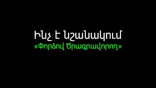 Ի՞նչ է նշանակում «Փորձով Ծրագրավորող» | Sound Byte #1