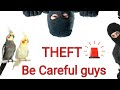 Be careful guys |V2BIRDS|