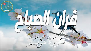 قرآن الصباح | سورة للراحة النفسية والطمأنينة  و تهدي النفس وتزيل الضيق