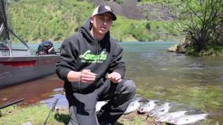 Spring Chinook tips at Drano Lake by Team Dusky