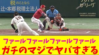 広島・野間の集中力がガチのマジでヤバすぎるとなんｊとプロ野球ファンの間で話題にｗｗｗ【なんJ反応集】