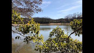 名古屋市守山区　小幡緑地公園　散歩　2021/02/28