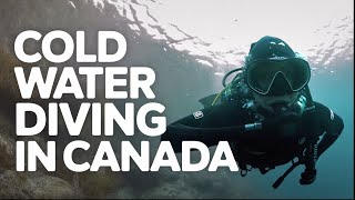 Why Vancouver's Cold Water Diving is So Good