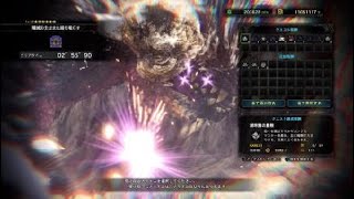 ［MHWI］歴戦悉くを殲ぼすネルギガンテ ヘビィボウガン ソロ 2'55\