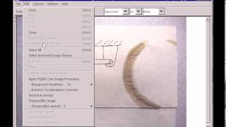 ScanScribe document image editor
