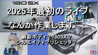 2025年最初のライブ、なんか作業やります💦