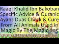 CHECK IF YOU HAVE MAGIC DONE WITH ANIMALS BY MALE FEMALE MAGICIANS RUQYAH BY RAQI KHALID IBN BAKOBAN