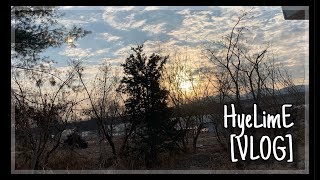 [#1 VLOG] 먹고 또 먹는 연말 일상(+요리) 그리고 Happy New Year!