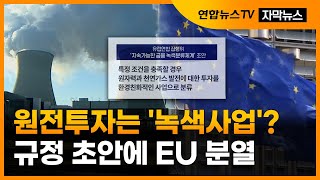 [자막뉴스] 원전투자는 '녹색사업'?…규정 초안에 유럽연합 분열 / 연합뉴스TV (YonhapnewsTV)