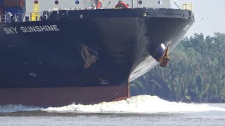 Massive Container Ships Navigating Narrow Waterways | 4K Shipspoting