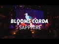 blooms corda // sapphire / live at caribbean club