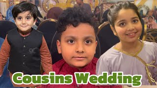 JIBBU MIKKO || Jibraeel’s Cousin’s Wedding And Aayat Arif invited || vlog