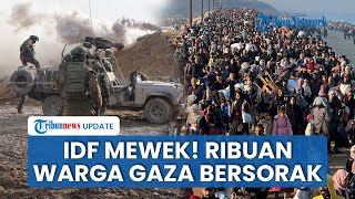 IDF Nangis Angkat Kaki dari Poros Netzarim, Sementara Ribuan Warga Palestina Bersorak Pulkam ke Gaza