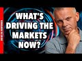 Sector Rotation & Seasonality: What’s Driving the Market Now?