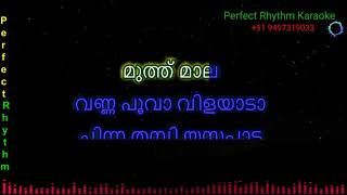 Thooliyile Aada Vantha | Karaoke | Malayalam | Chinna Thambi | Ilaiyaraaja |
