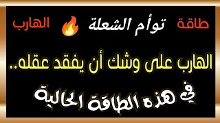 توأم الشعلة 🔥 الهارب على وشك أن يفقد عقله في الطاقة الحالية... #توأم_الشعلة #طاقة_الهارب