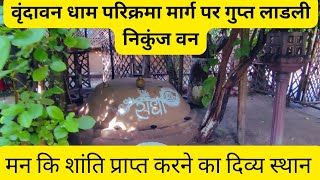 वृंदावन धाम परिक्रमा मार्ग पर गुप्त निधिवन ||Secret Nidhivan on Vrindavan Dham Parikrama Marg || 😱😍🛕