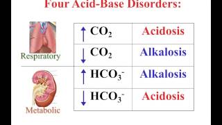 LPA 6D - Acid/Base Balance