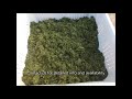 harvesting industrial hemp for cbd oil dewatering solutions with vincentcorp screw press