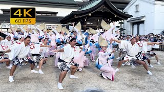 Japanese Traditional Dance on the Longest Street | Tenjin Tenma Awa Dance Festival