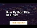 run python file in linux