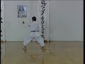 ji in efthimios karamitsos karate kata shotokan